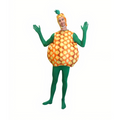 Funny, Pineapple Adult Costume, Halloween by Masquerade