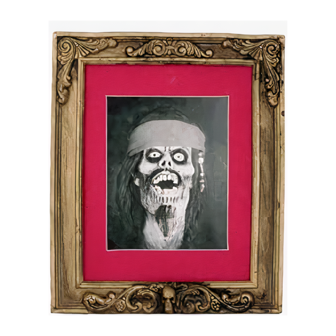 Pirate Picture Frame Halloween Prop by Masquerade