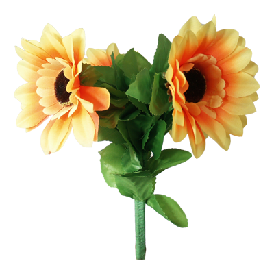Amazing Split Sunflower by Premium Magic by Murphy's Magic Supplies, Inc.