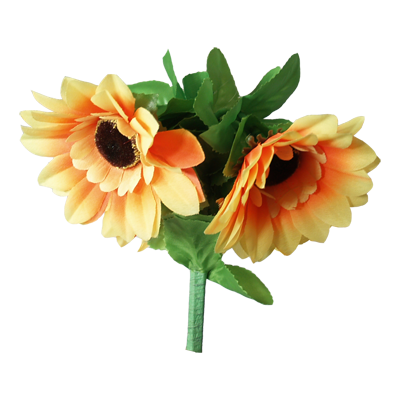 Amazing Split Sunflower by Premium Magic by Murphy's Magic Supplies, Inc.