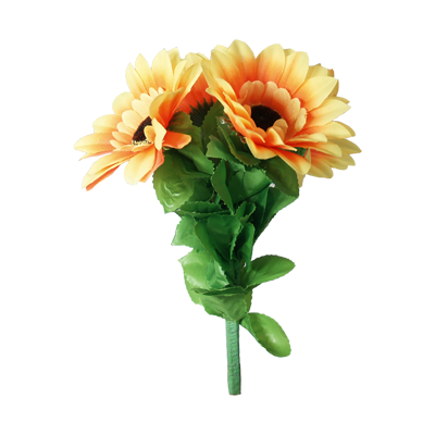 Amazing Split Sunflower by Premium Magic - Trick by Murphy's Magic Supplies, Inc.