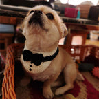 Cat Knitted Gentleman Scarf Collar Magician Hat Small by My Store