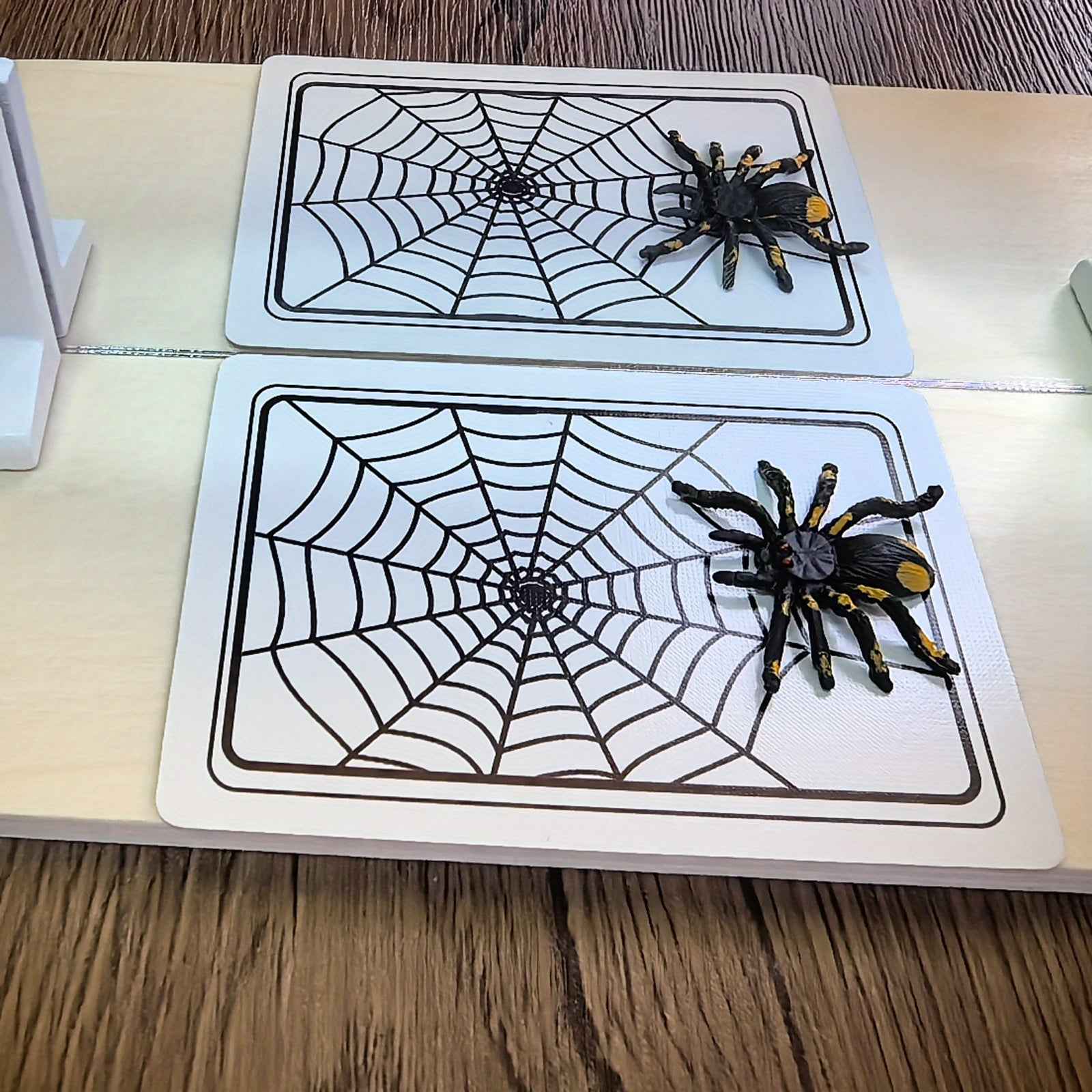 Spider And Web. It Is a Creative Magic That Perfectly Combines Magic And Pranks, Enhancing The Interest And Interactivity of The Performance. The Effect Is Amazing. It Is Suitable to Be Used As a Party Gift Or a Festival Gift