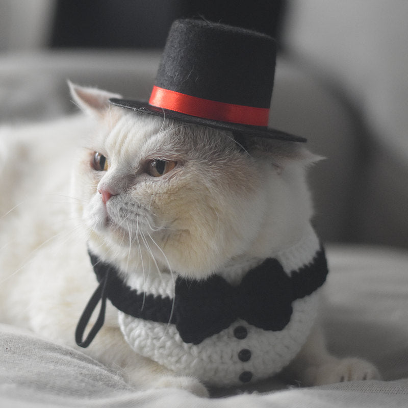 Cat Knitted Gentleman Scarf Collar Magician Hat Small by My Store