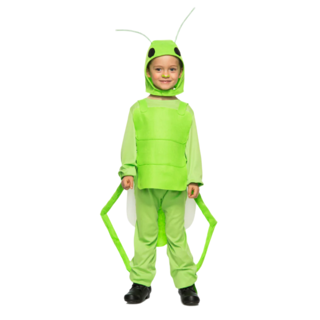 Child Green Grasshopper Costume by Masquerade