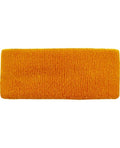 Gold Headband by Masquerade