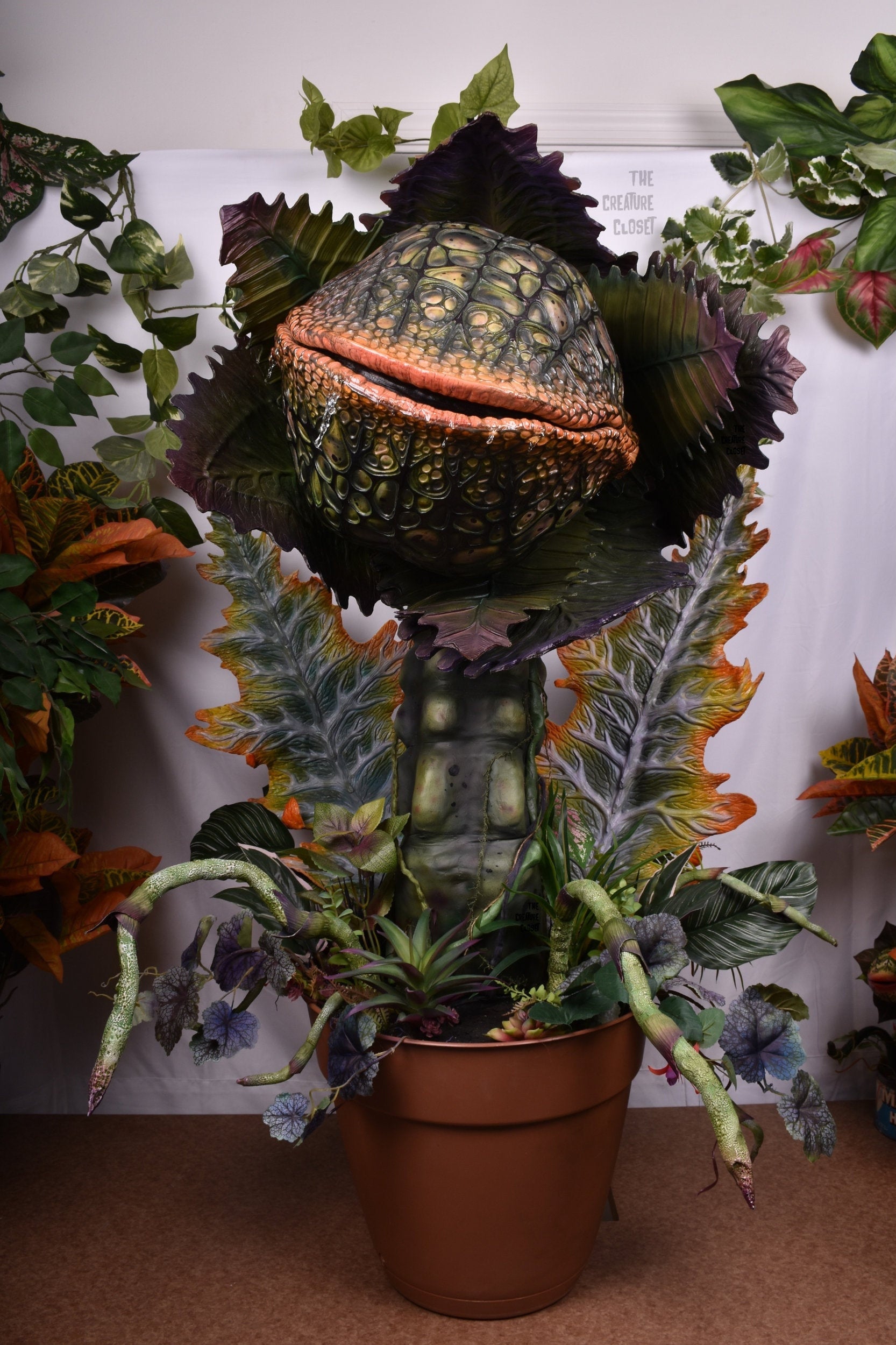 https://i.etsystatic.com/15594888/r/il/28eb3d/3123033190/il_fullxfull.3123033190_op9j.jpg