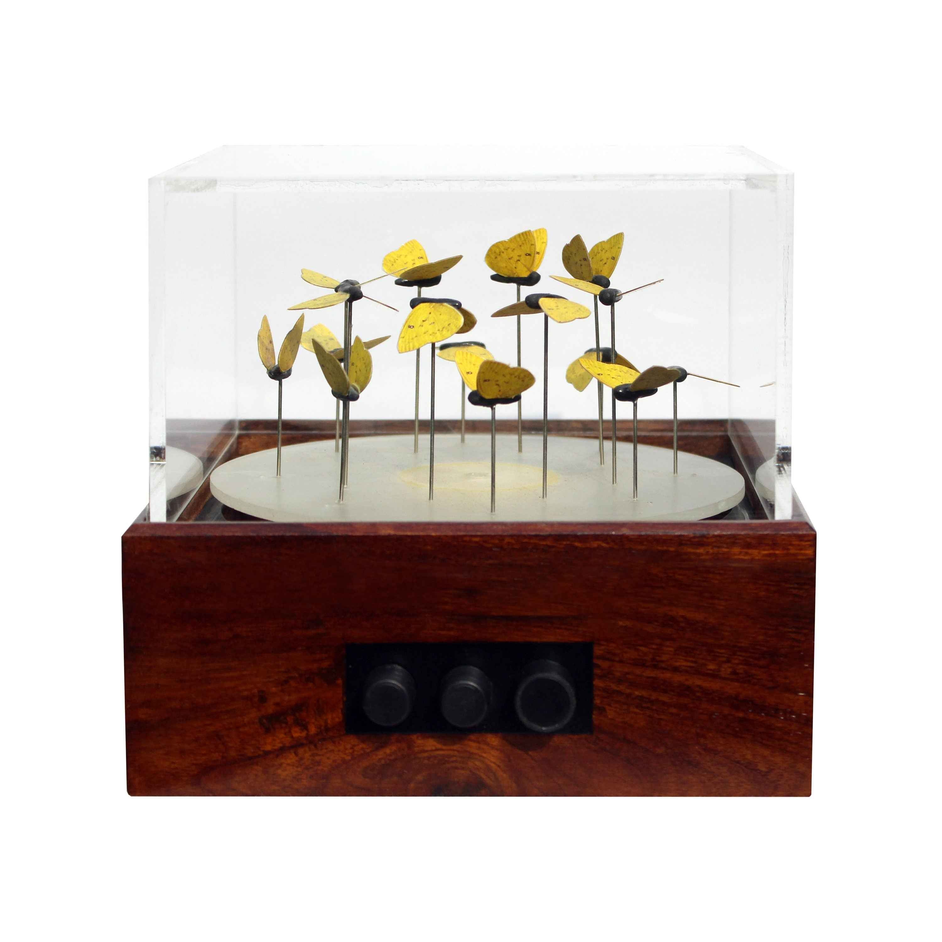 3D Zoetrope, Kinetic Sculpture, Kinetic art, 3D sculpture, zoetrope, Zoetrope 3D, butterfly zoetrope, butterfly kinetic art