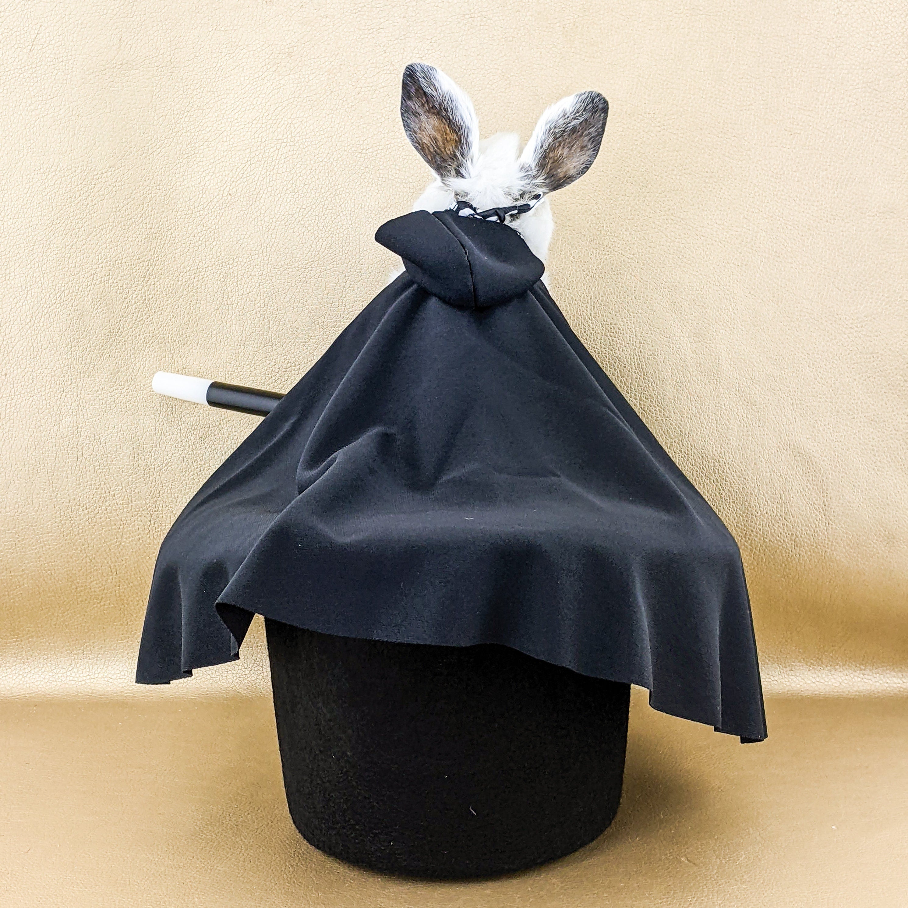 https://i.etsystatic.com/7471781/r/il/d453e6/4266948834/il_fullxfull.4266948834_qndj.jpg