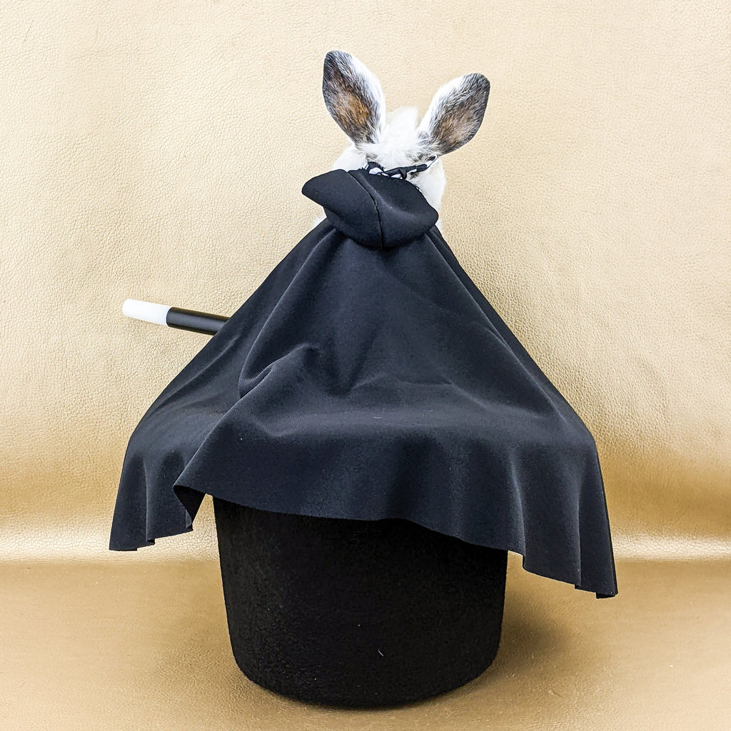 https://i.etsystatic.com/7471781/r/il/d453e6/4266948834/il_fullxfull.4266948834_qndj.jpg