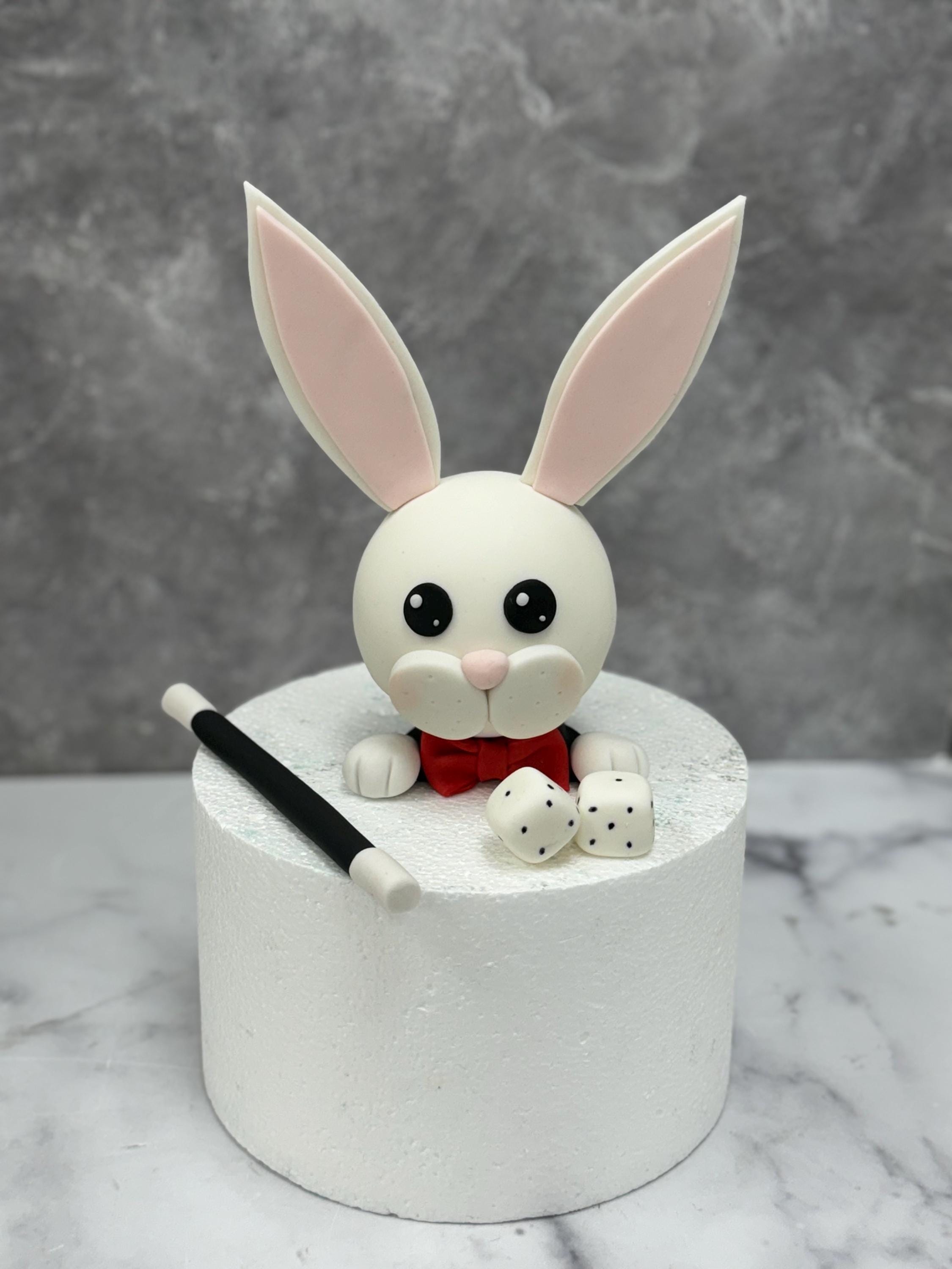 https://i.etsystatic.com/51771379/r/il/0741f3/6130548750/il_fullxfull.6130548750_i4wt.jpg