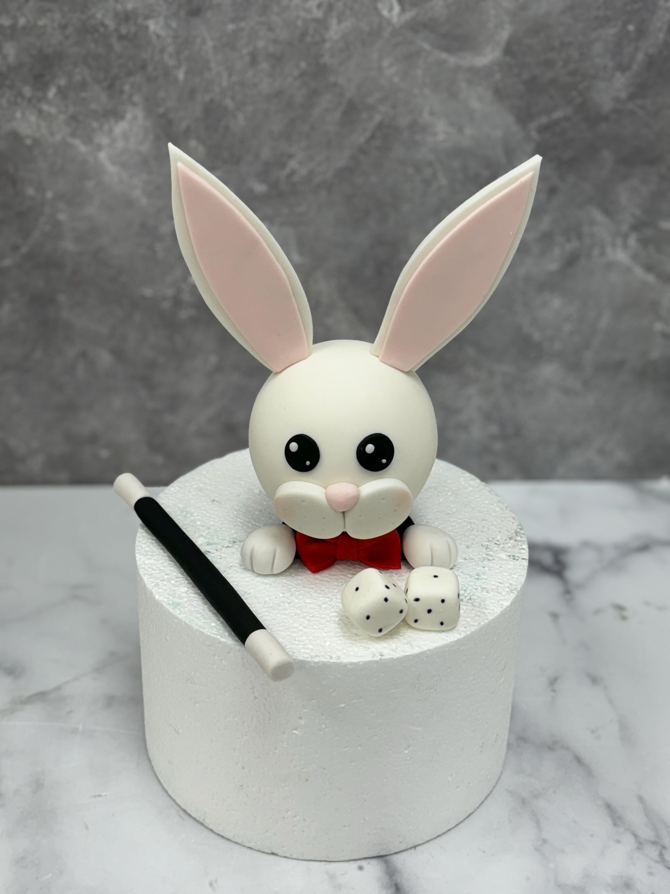 https://i.etsystatic.com/51771379/r/il/a17b62/6130548754/il_fullxfull.6130548754_36wv.jpg