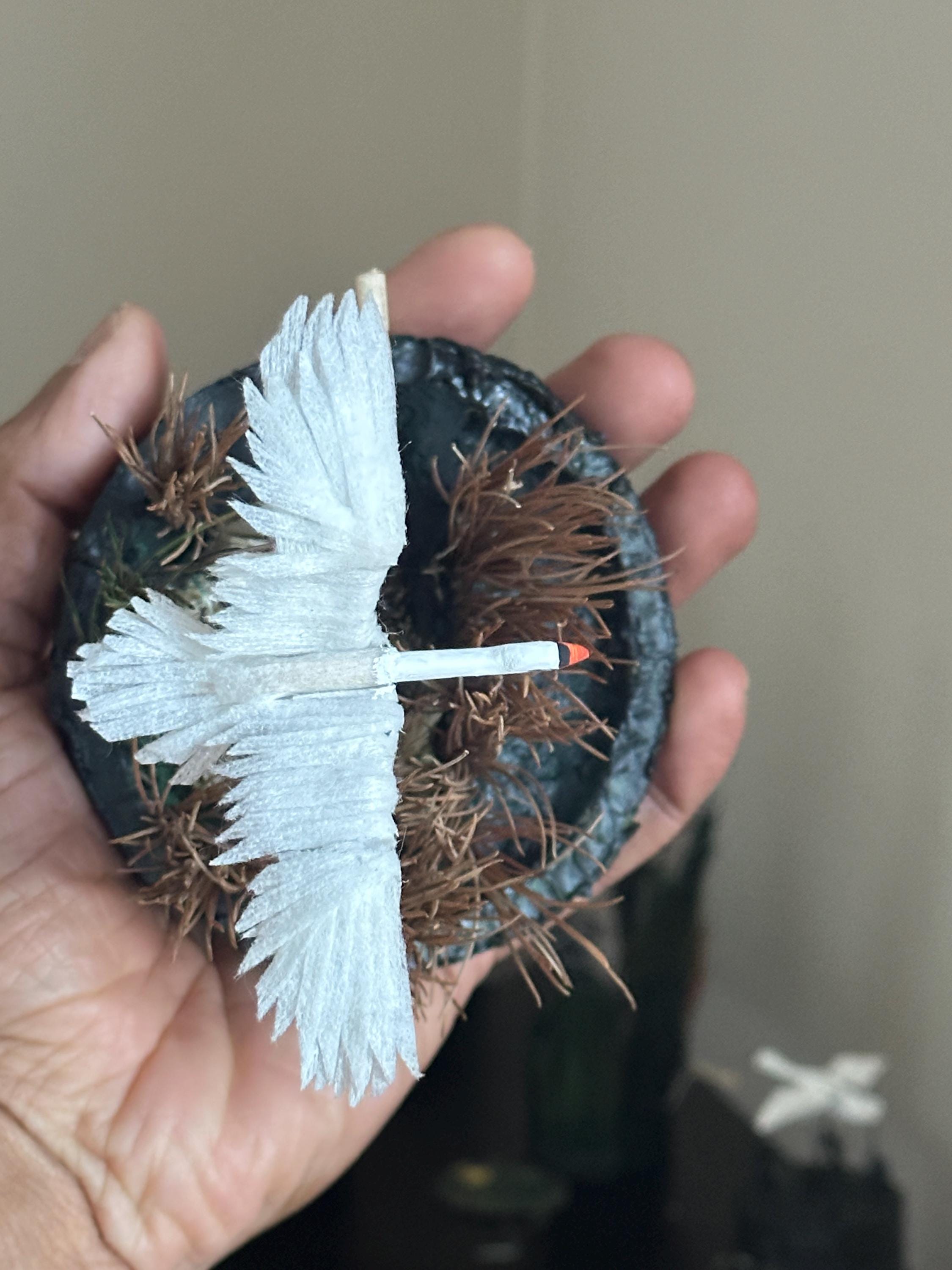 https://i.etsystatic.com/52664215/r/il/a6b948/7366355497/il_fullxfull.7366355497_7ki6.jpg