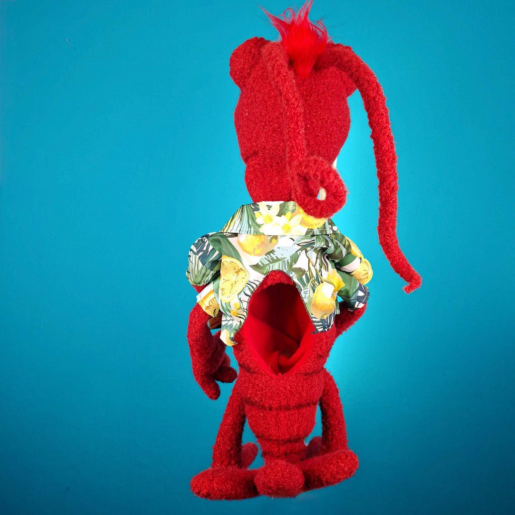 https://i.etsystatic.com/12370652/r/il/b6bcef/7979131867/il_fullxfull.7979131867_rvix.jpg
