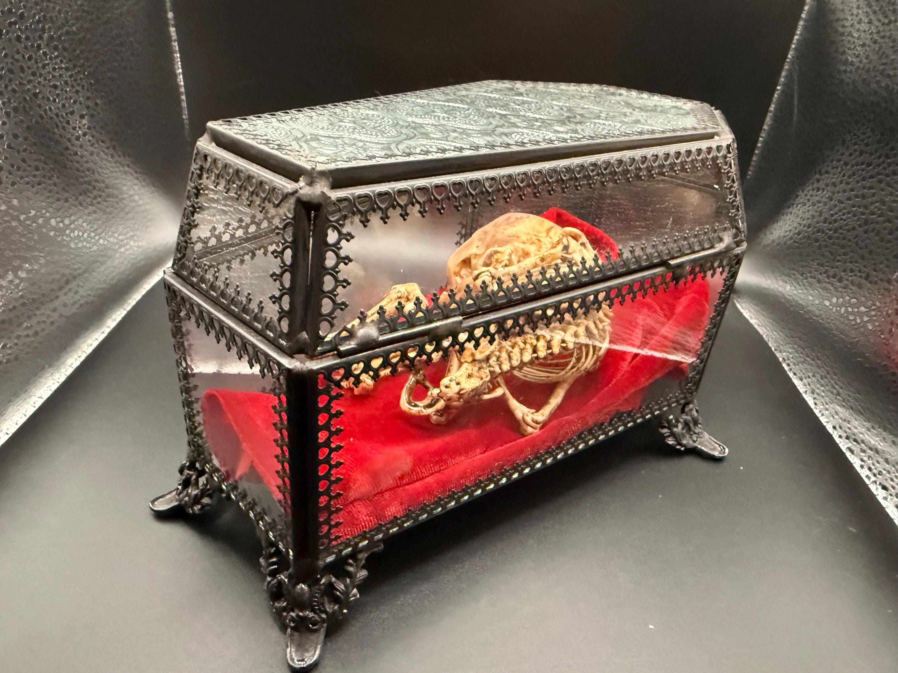 https://i.etsystatic.com/6373411/r/il/5c711c/8000644196/il_fullxfull.8000644196_8vm0.jpg