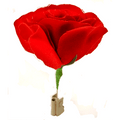 Match to Rose by Mr. Magic by Murphy's Magic Supplies, Inc.