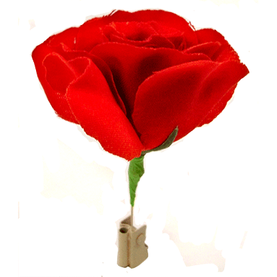 Match to Rose by Mr. Magic by Murphy's Magic Supplies, Inc.