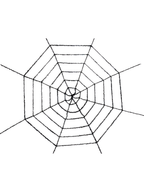 Black Tinsel Spider Web by Masquerade