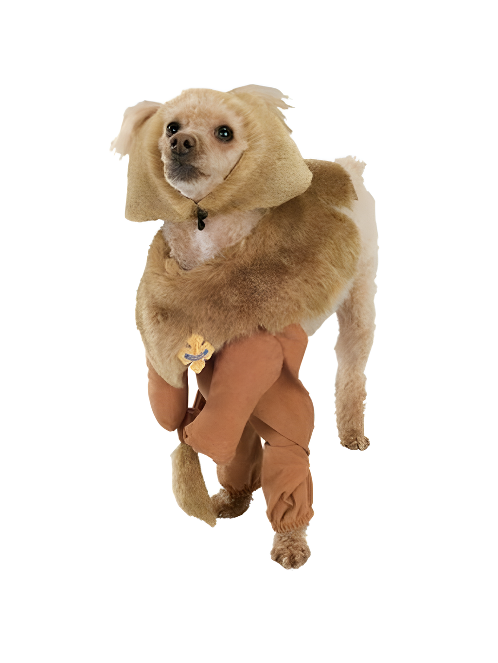 Cowardly Lion Dog Costume by Masquerade