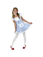 Preteen Dorothy Costume by Masquerade