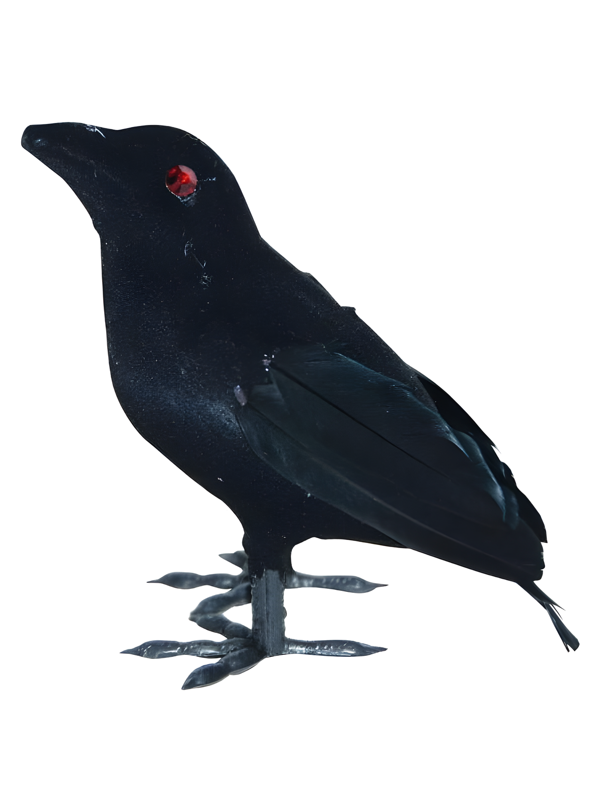 Small Flocked Crow by Masquerade