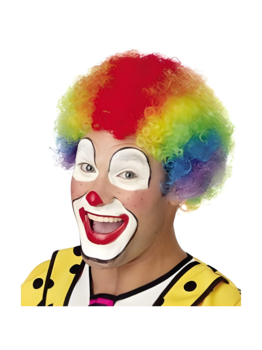 Fantasy Clown Wig by Masquerade