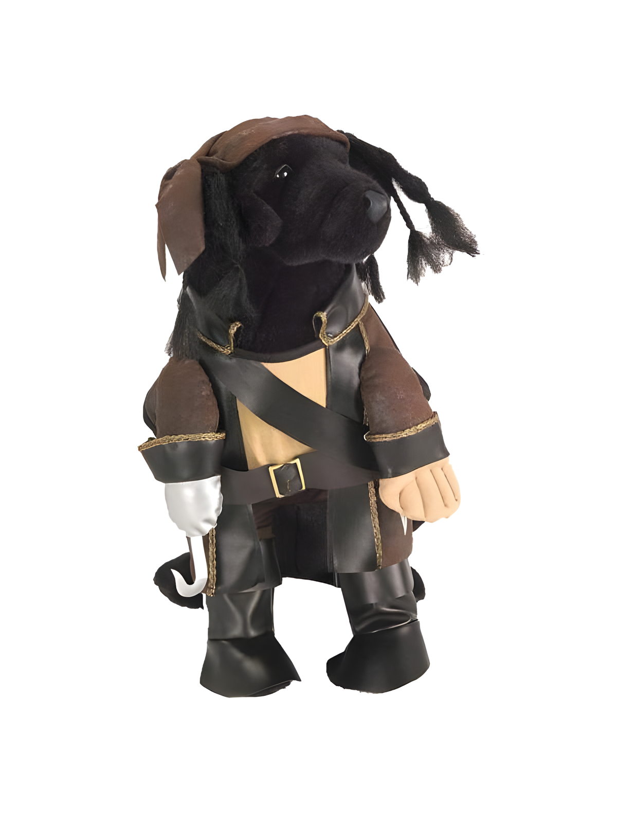 Pirate King Dog Costume by Masquerade