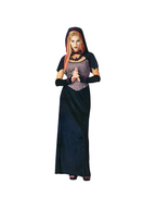 Adult Dark Rose Maiden Costume by Masquerade
