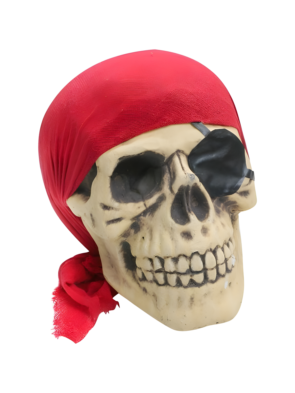 Bones Pirate Skull Halloween Prop by Masquerade