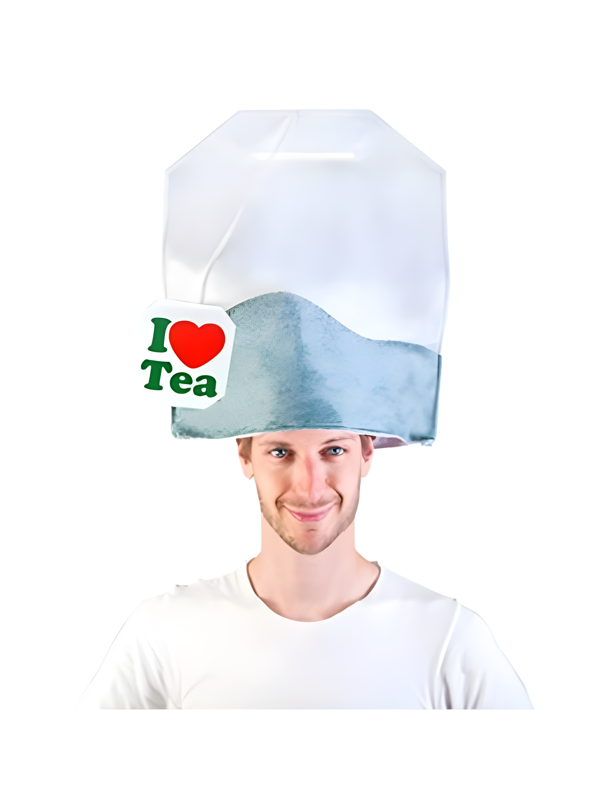 Funny, Adult Tea Bag Hat by Masquerade