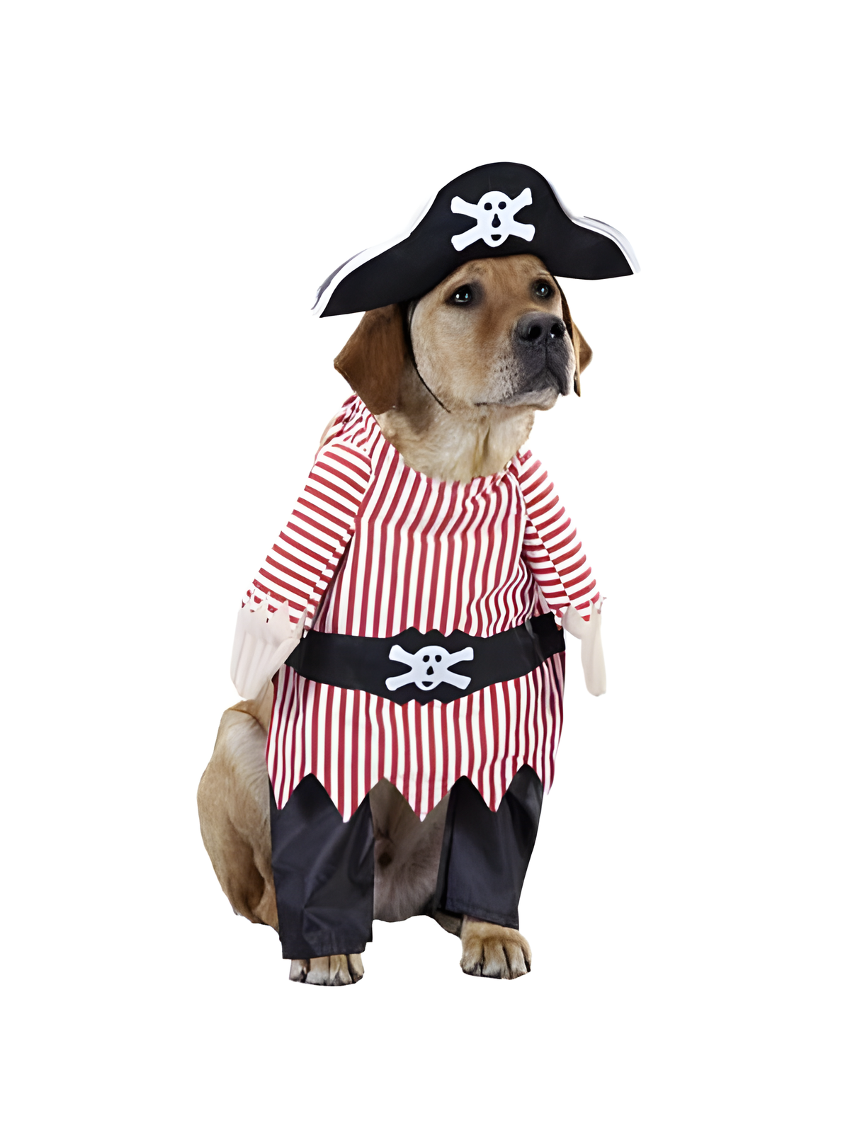 Pirate Dog Costume by Masquerade