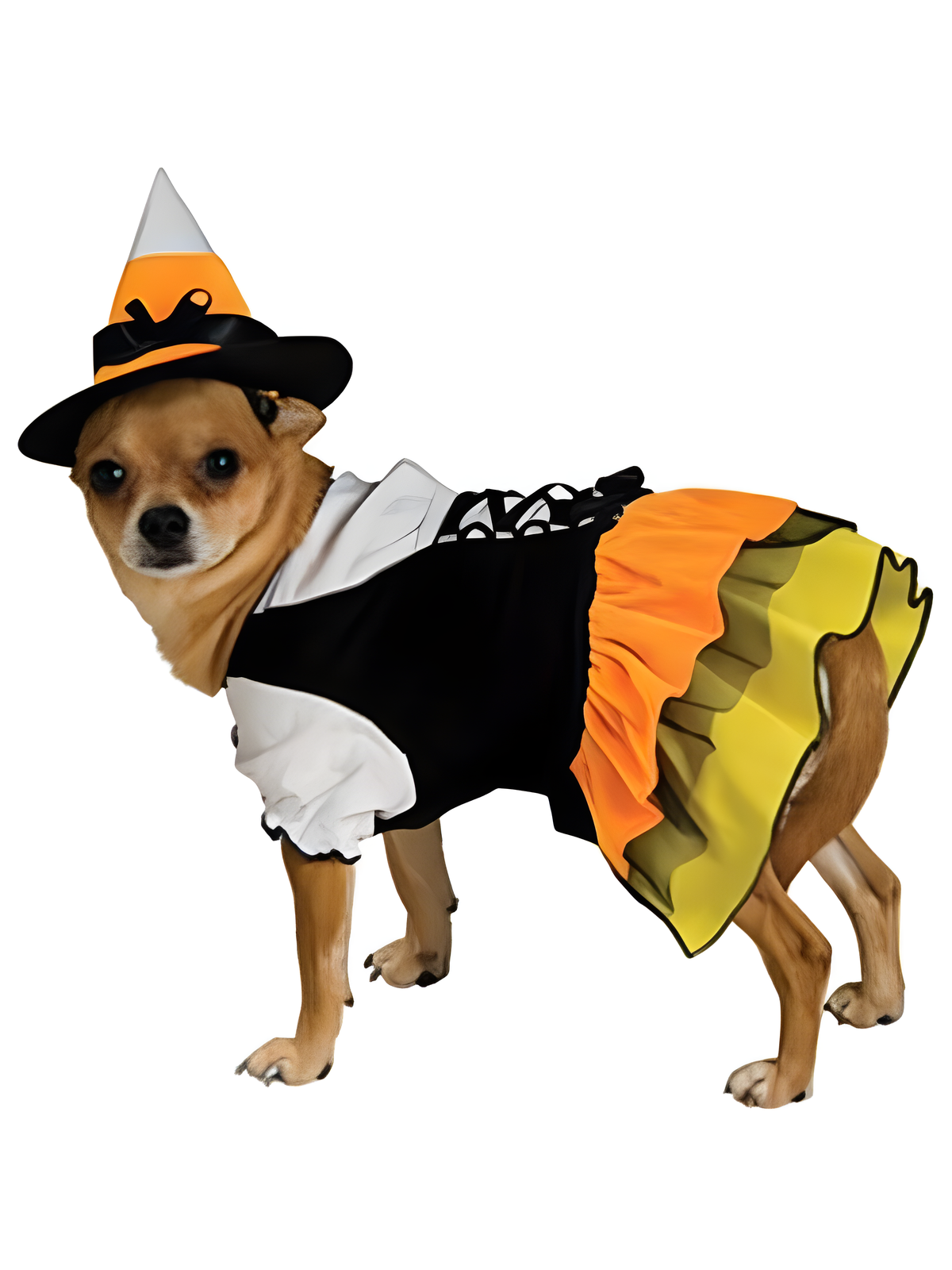 Candy Corn Witch Dog Costume by Masquerade