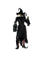 Adult Tattered Witch Costume by Masquerade