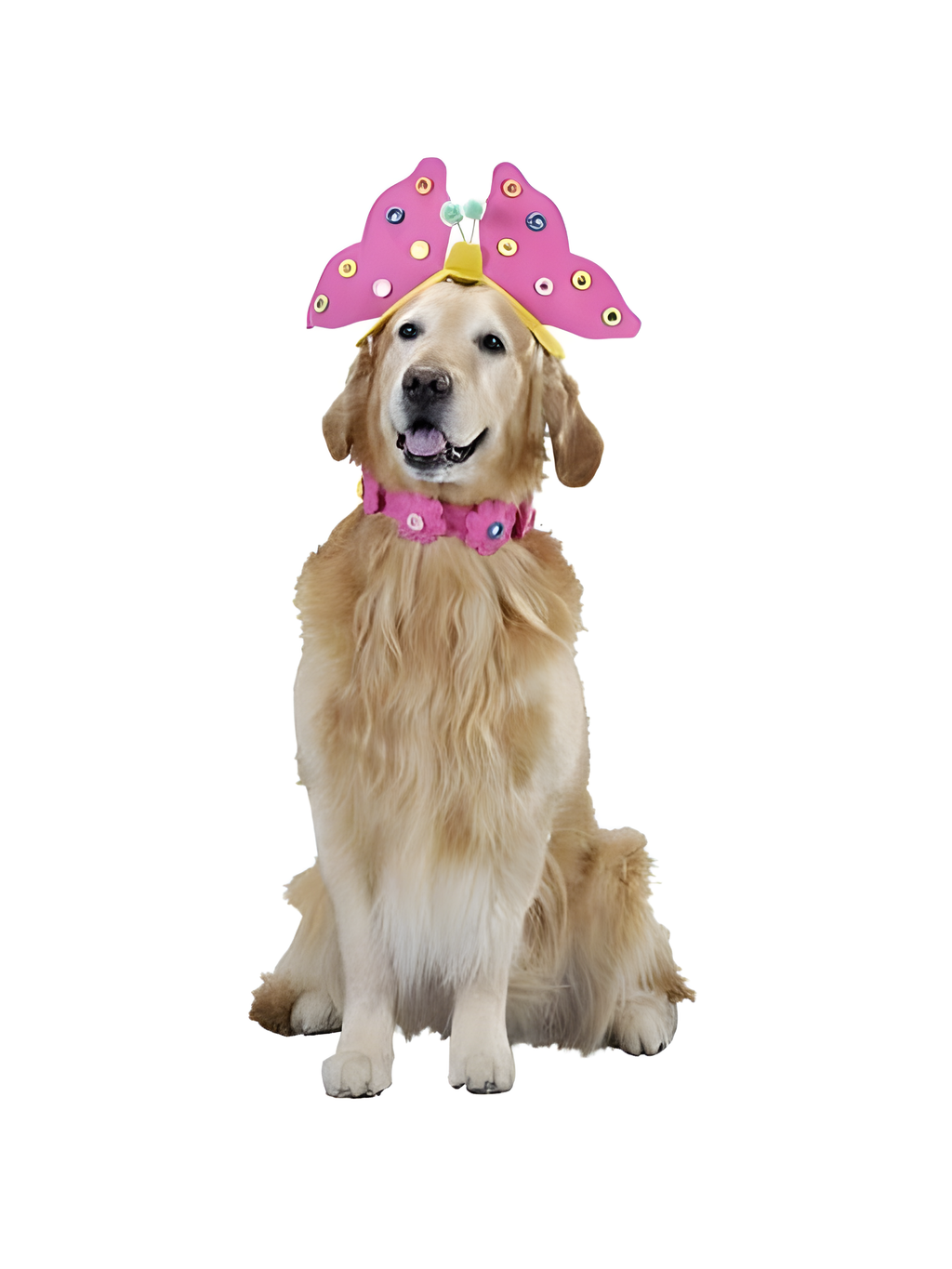 Butterfly Dog Costume by Masquerade