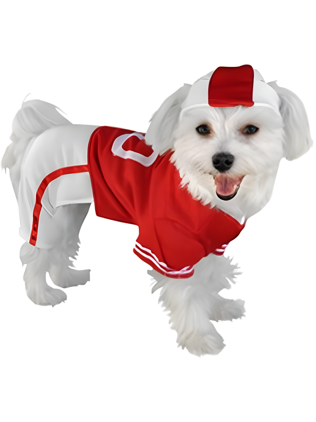 Red Football Player Dog Costume by Masquerade
