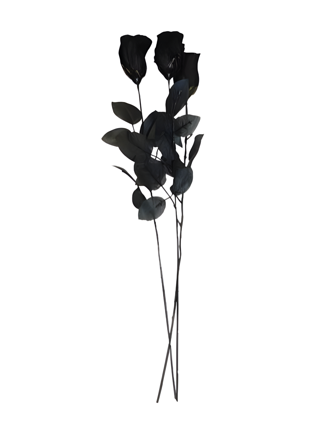 Long Black Rose by Masquerade