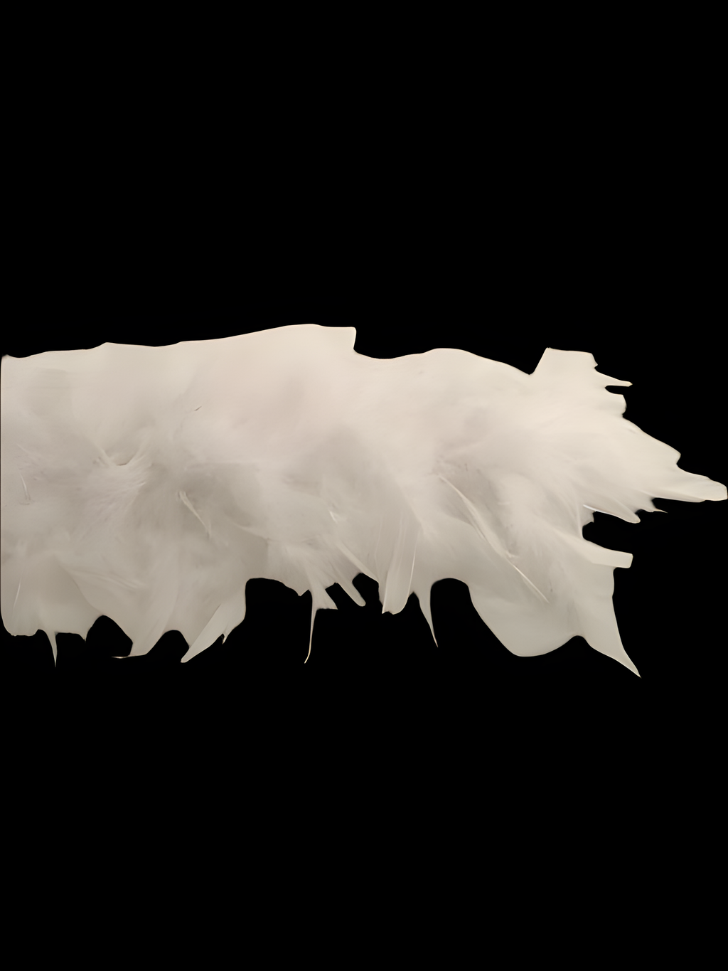 White Turkey Feather Boa by Masquerade