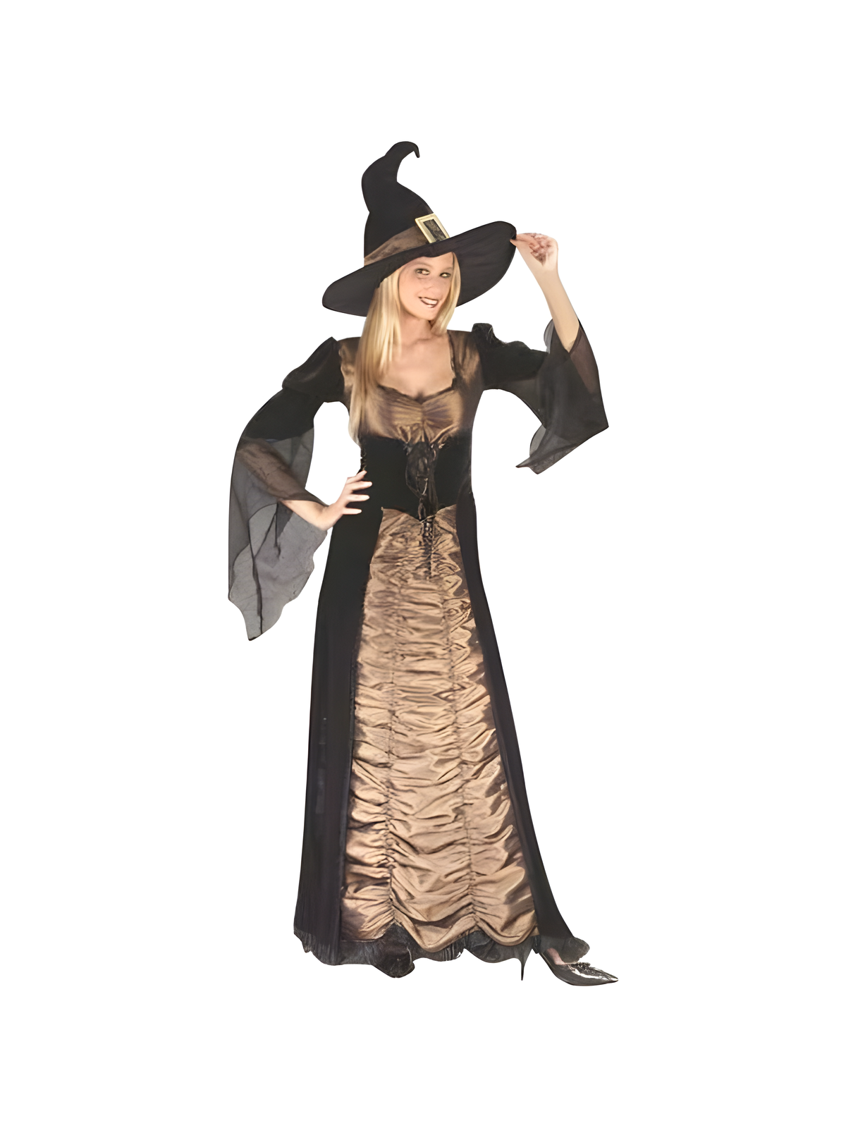 Adult Elegant Coffin Witch Costume by Masquerade