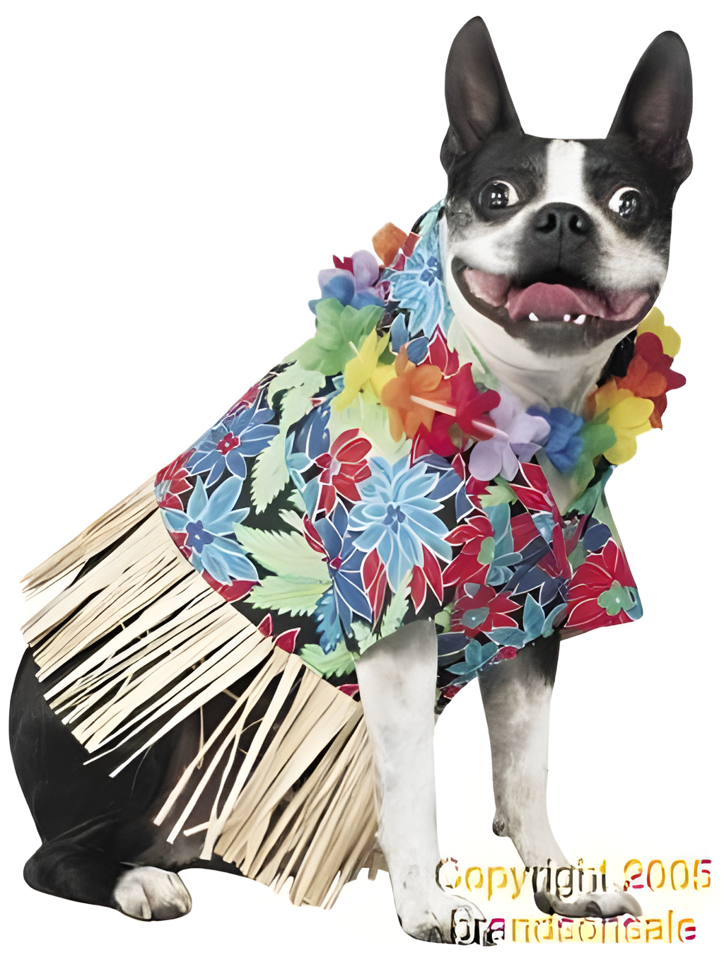 Tiki Fun Dog Costume by Masquerade