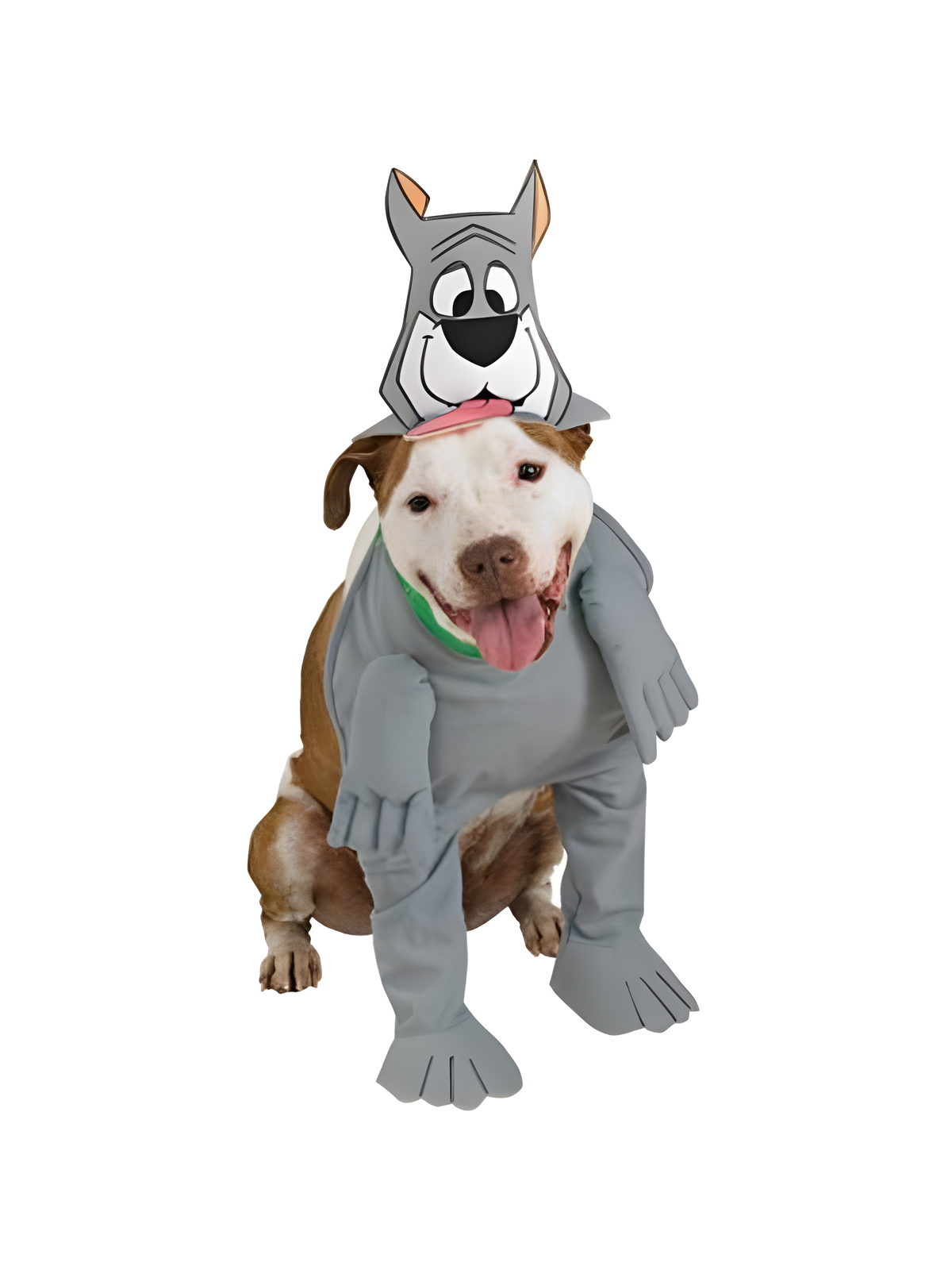Astro Dog Costume by Masquerade