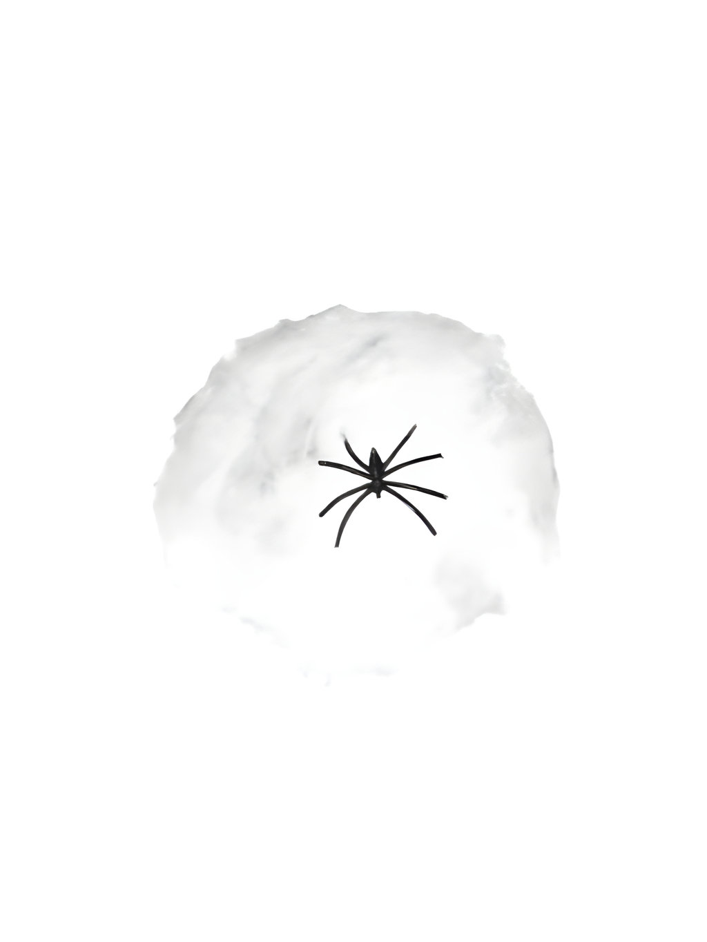 Small Spider Web Fiber with Plastic Spider Prop by Masquerade