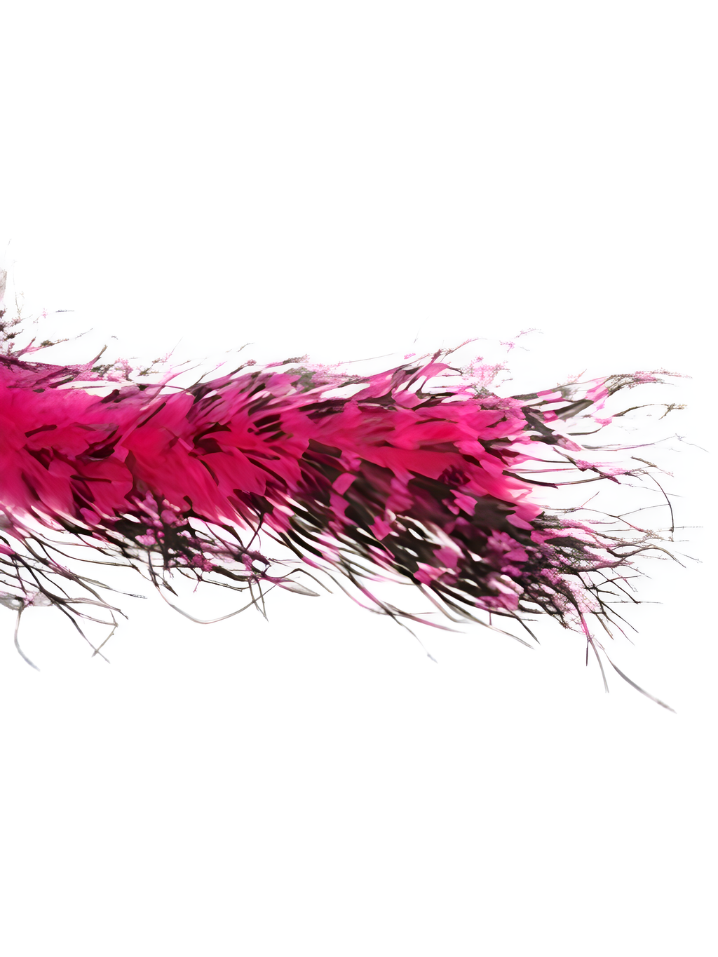Fuchsia/Black Ostrich Feather Boa by Masquerade