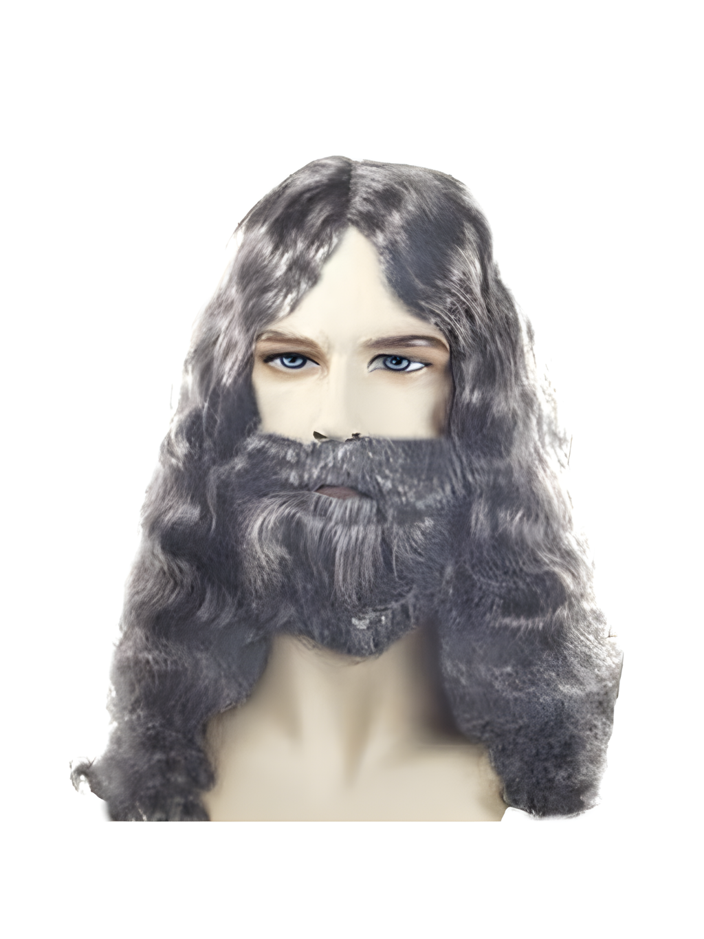 Men's Quality Grey Biblical Wig and Beard by Masquerade