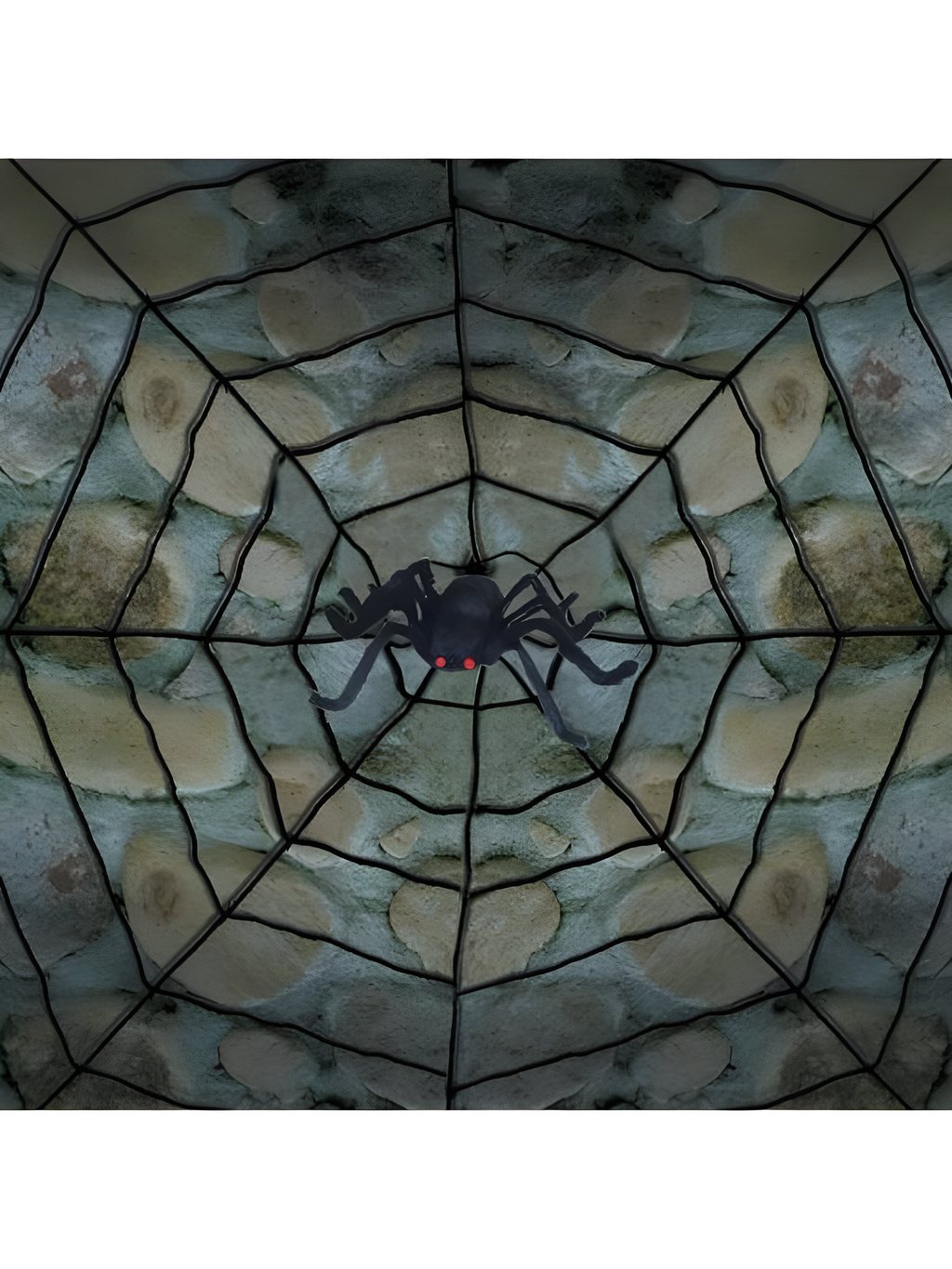 Spiderweb with Spider Prop by Masquerade