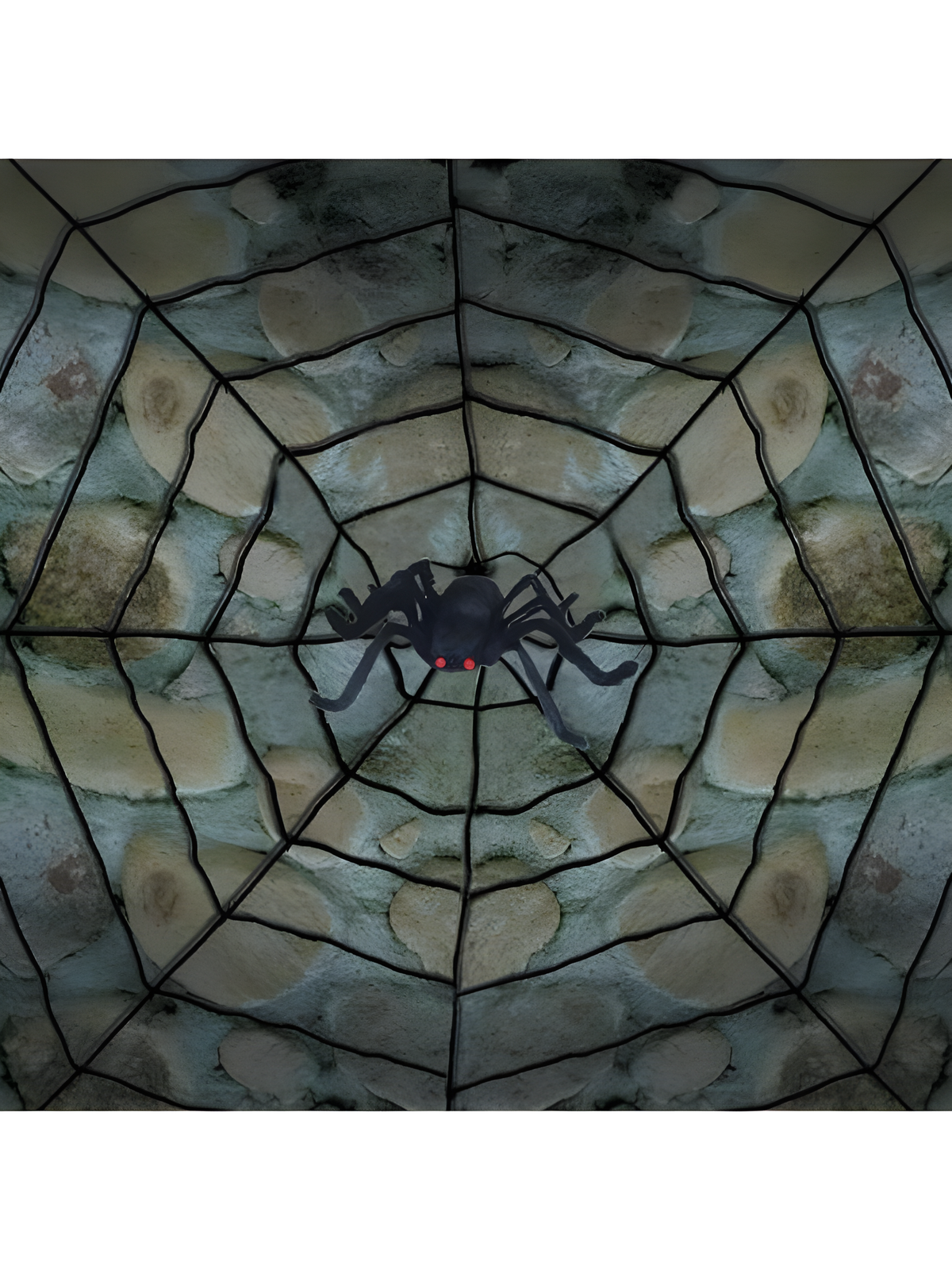 Spiderweb with Spider Prop by Masquerade