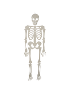 Skeleton Halloween Prop by Masquerade