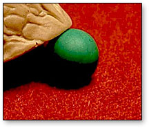 Perfect Peas (Green) by Whit Hayden and Chef Anton's School for Scoundrels by Murphy's Magic Supplies, Inc.