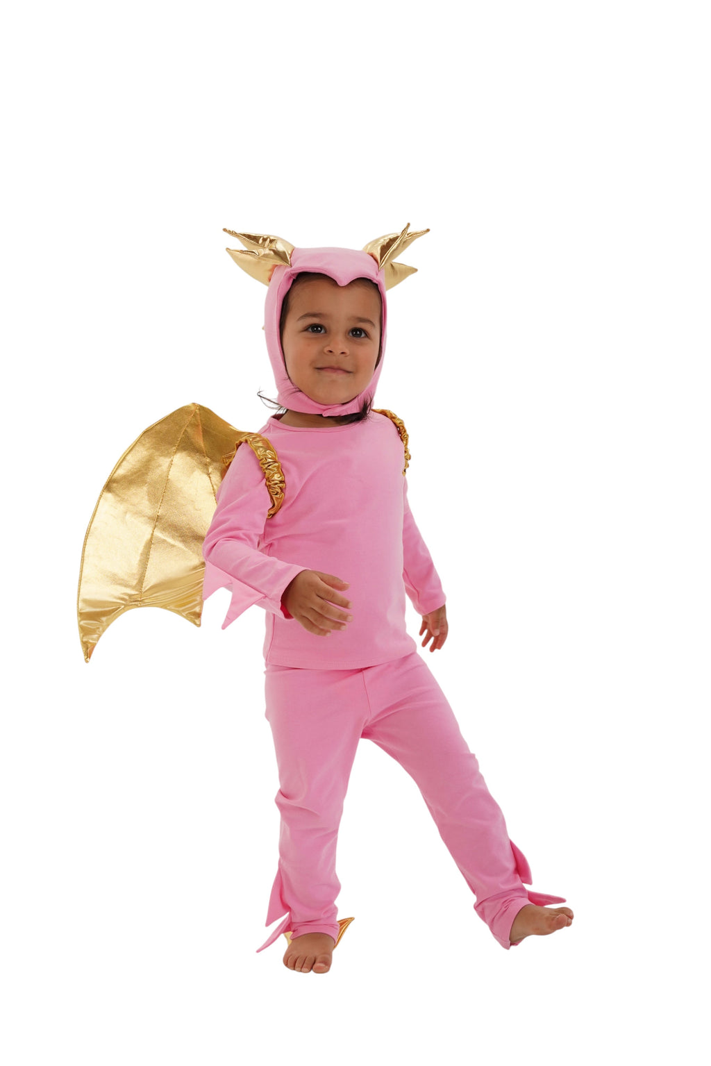 Pink Dragon Halloween Costume by Band of the Wild