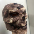Skull and Demon Cosplay Mask Options