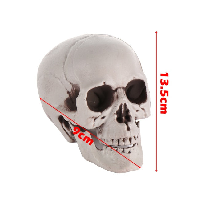 Hanging Skull Halloween Decoration